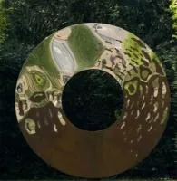 Уличный ДИЗАЙН — ЛИНЗА (519085) ∅ 1150 сталь AISI304 Казань 