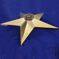 Звезда вечный огонь (1628) поставка комплект горелка ГВД 379 10 89 00 ПС ø 1100 мм. пустотелая в Казани